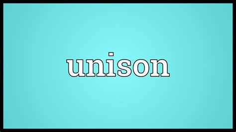 what does unison means
